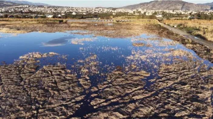 Temmuz ayında tamamen kurumuştu! Milleyha Kuş Cenneti küllerinden doğdu: Kuraklık bitince göçmen kuşlar geri döndü