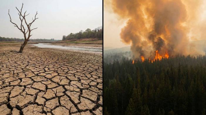 Dünya alarm veriyor: Tarihin en sıcak üçüncü yılı!