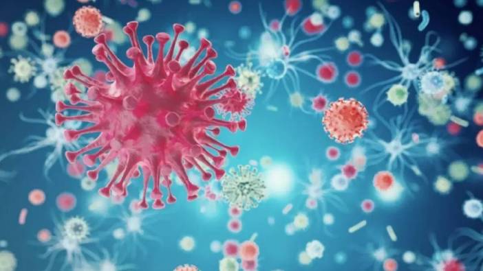 Uzmanlara göre salgın riskleri bitmiş değil: İşte üç tehlikeli virüs
