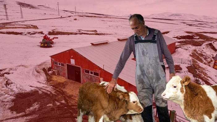 Hayvancılığı tam bırakıyordu, devletten destek eli geldi! Eski ahırını modern tesise dönüştürdü