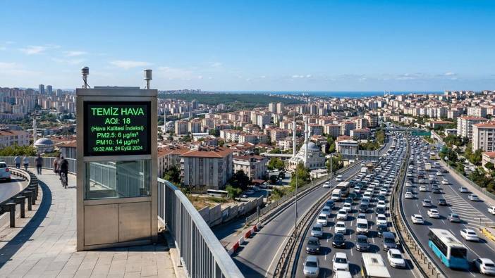 İstanbul'da havası en temiz ilçe şaşırttı