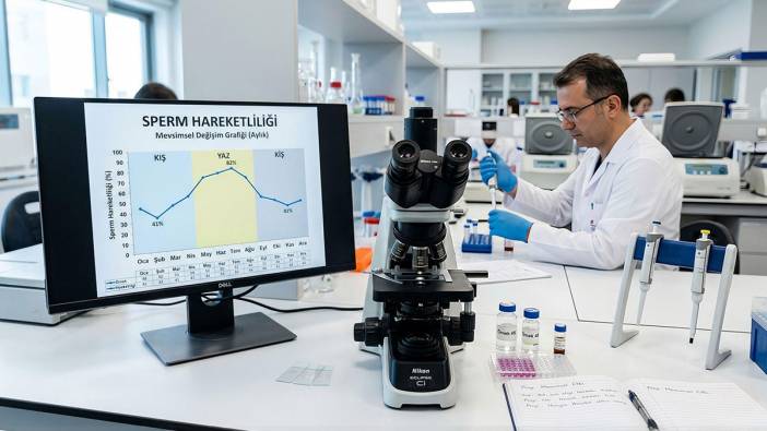 Sperm hareketliliği yaz mevsiminde zirve yapıyor