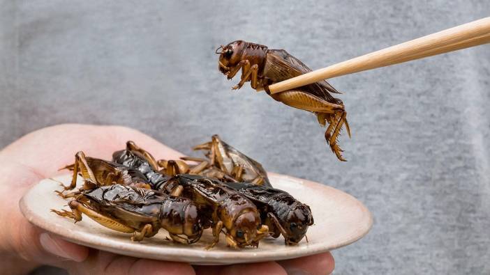 Yunanistan'da yenilebilir böcekler menülerde yer almaya başladı