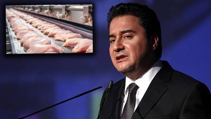 Babacan’dan tavuk firmalarına operasyon tepkisi: Sopa gösterip “tepenize çökeriz” diyorlar