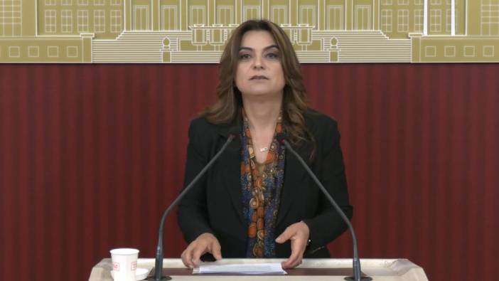 DEM Parti'li Koçyiğit'ten çerçeve yasa çağrısı: Bir an önce TBMM'ye gelmesi gerekiyor