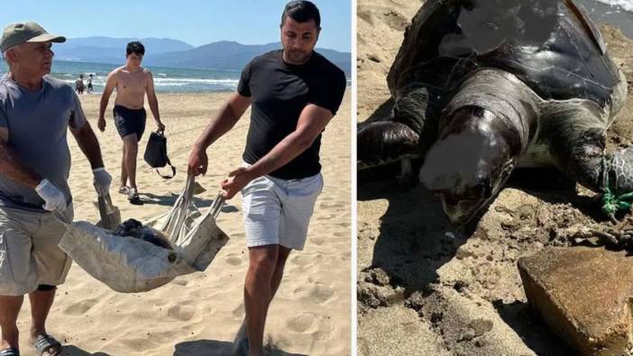 İzmir'de korkunç manzara: Yüzgecine parke taşı bağlanan caretta caretta ölü bulundu