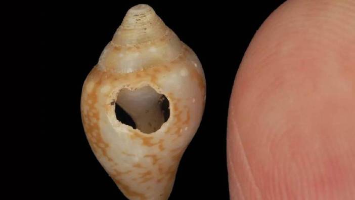30 bin yıllık sır Hatay'da çözüldü: Neandertaller ve Homo sapiens arasında şaşırtan benzerlik