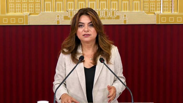 DEM Partili Koçyiğit: Çerçeve yasa Meclis kapanmadan çıkacak
