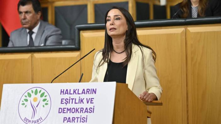 Hatimoğulları'ndan 'çerçeve yasa' için 'son düzlük' açıklaması: 'İmralı ziyaretinde oluşan mutabakat yasaya yansımalı'