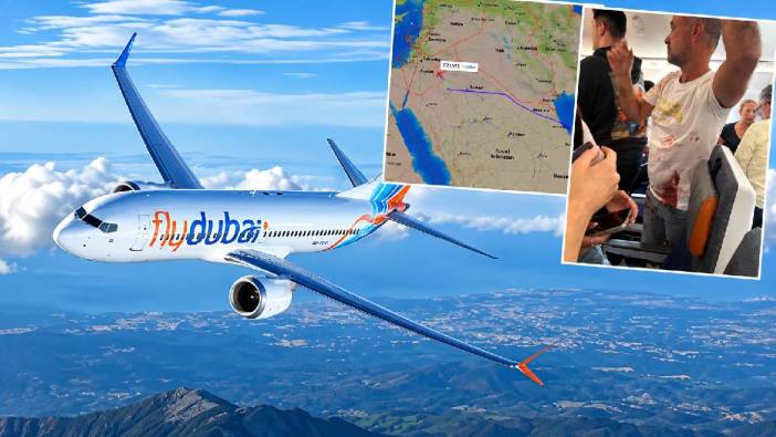 Havada dehşet: Pilot uçağı düşürmeye çalıştı yardımcı pilot ve yolcular engelledi