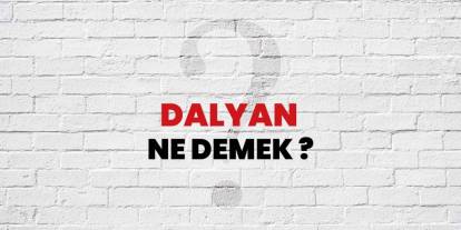 Dalyan Ne Demek: Türkçede Anlamı ve Önemi