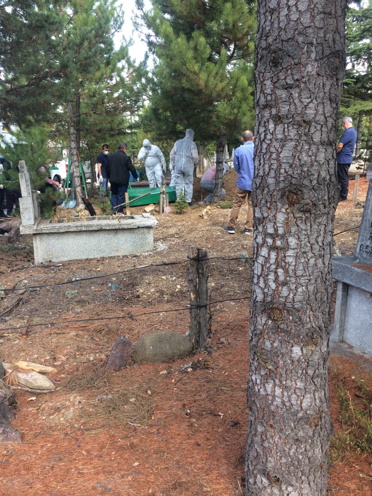 whatsapp-image-2020-09-27-at-19-31-53