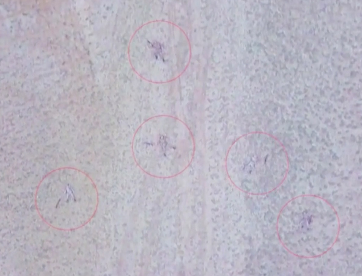 20200928-2-44562054-58467951