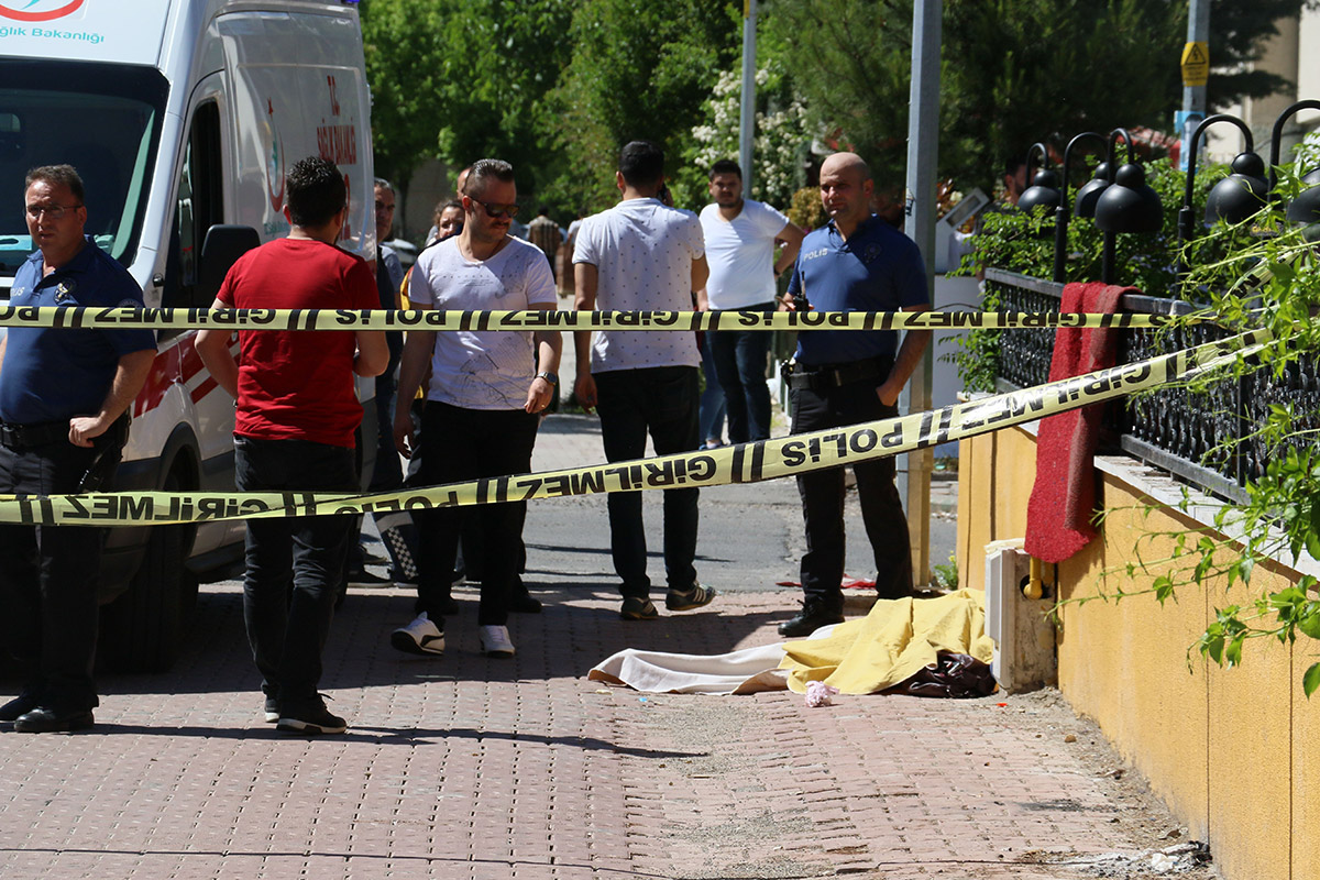 80113626d822424da67e45c068c50ae9