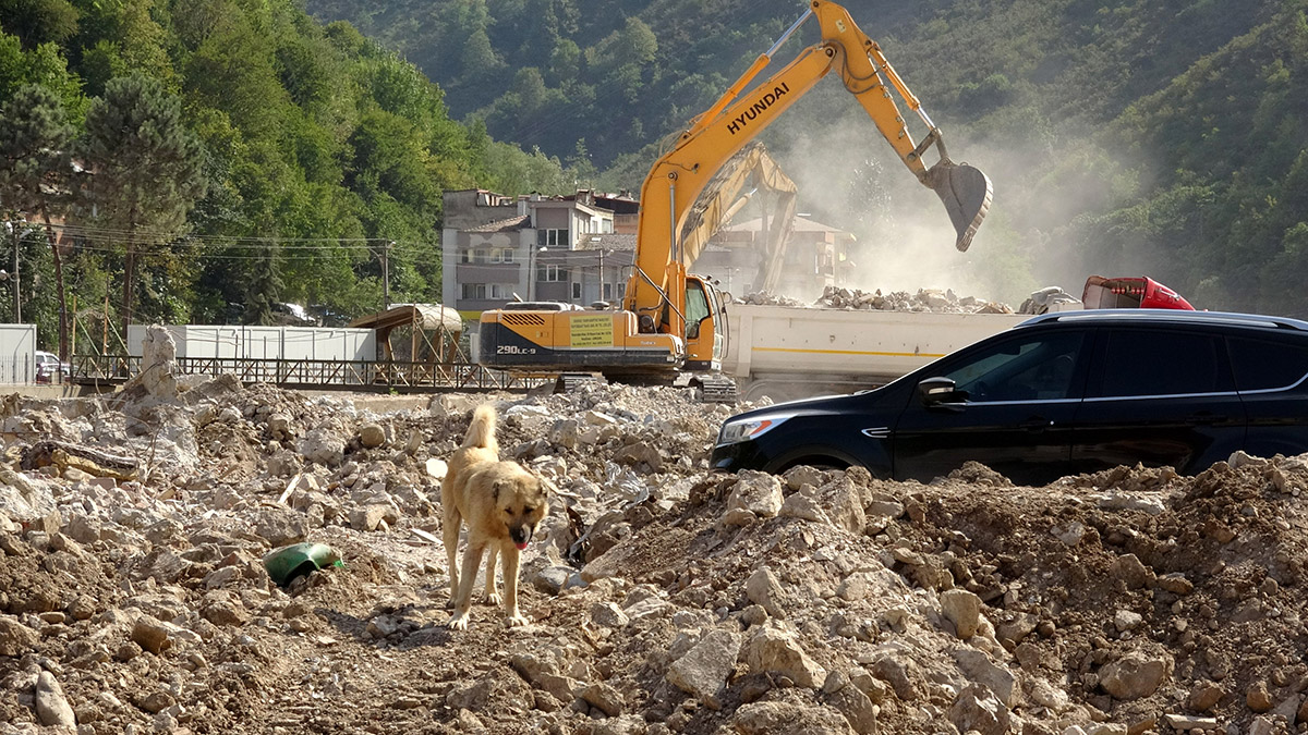 82a981f0d3c0e8fe0d5c2d7637674efe