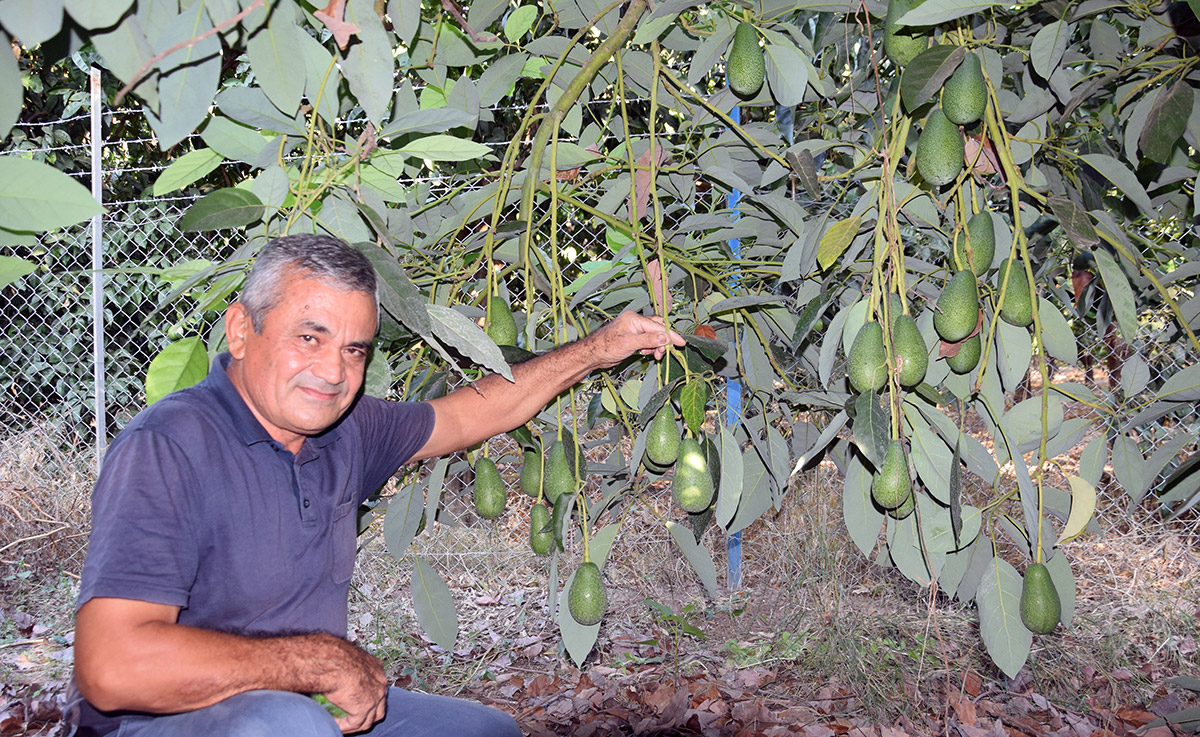 e6f50d5204047988a8e7b2a3d4bceb60