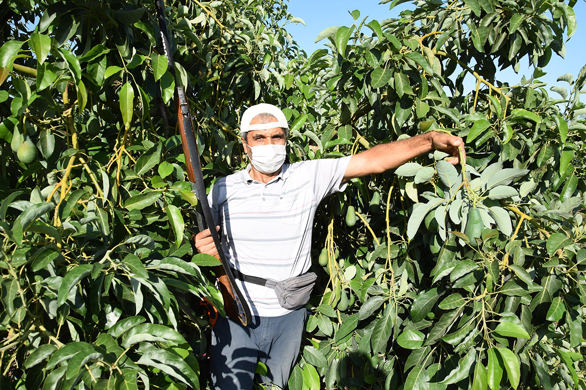 f670de778f723e698229fc17d671a31e