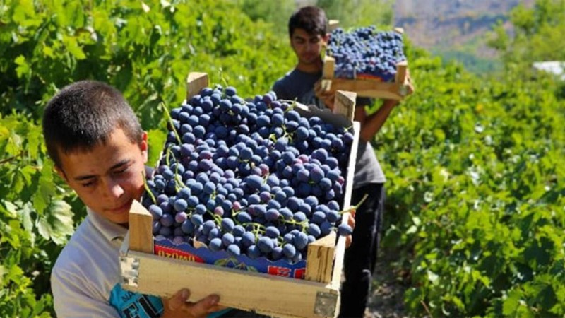 5c8e599e45d2a07c1048c79d