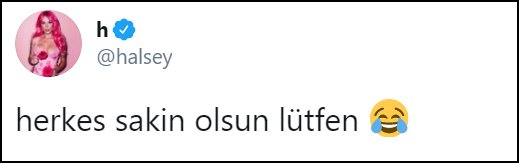 twitter-halsey