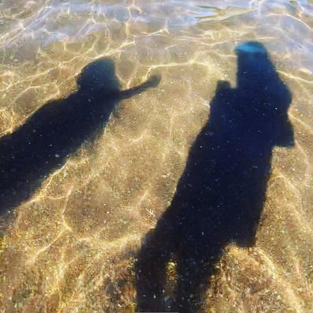 2831935-a6e2ef69c924bebb0c7be31b4bfeb59c-640x640