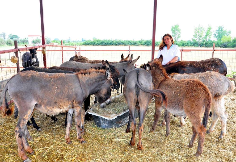 root-9-7-2016-id-109397-001