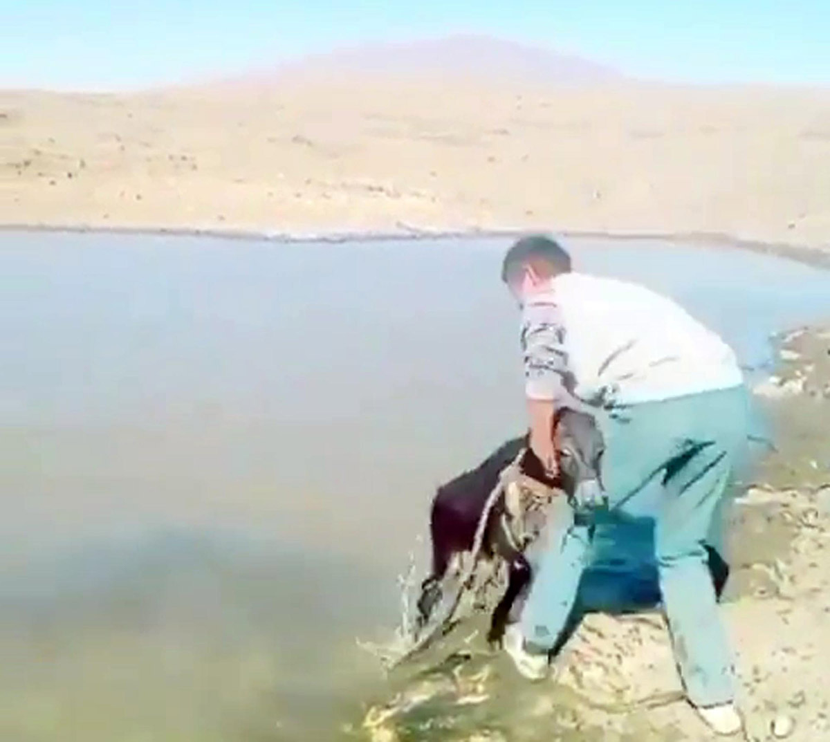 sipaya-eziyet-eden-2-kisiye-947ser-lira-ceza-6270-dhaphoto2