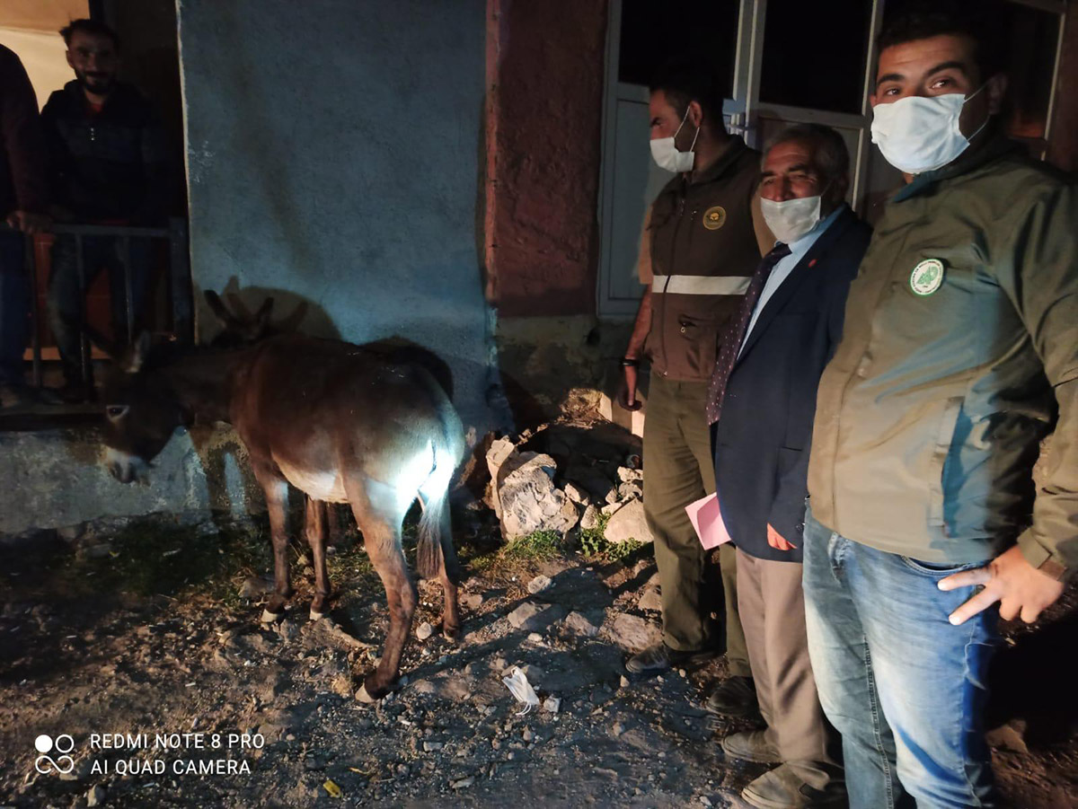 sipaya-eziyet-eden-2-kisiye-947ser-lira-ceza-6270-dhaphoto8