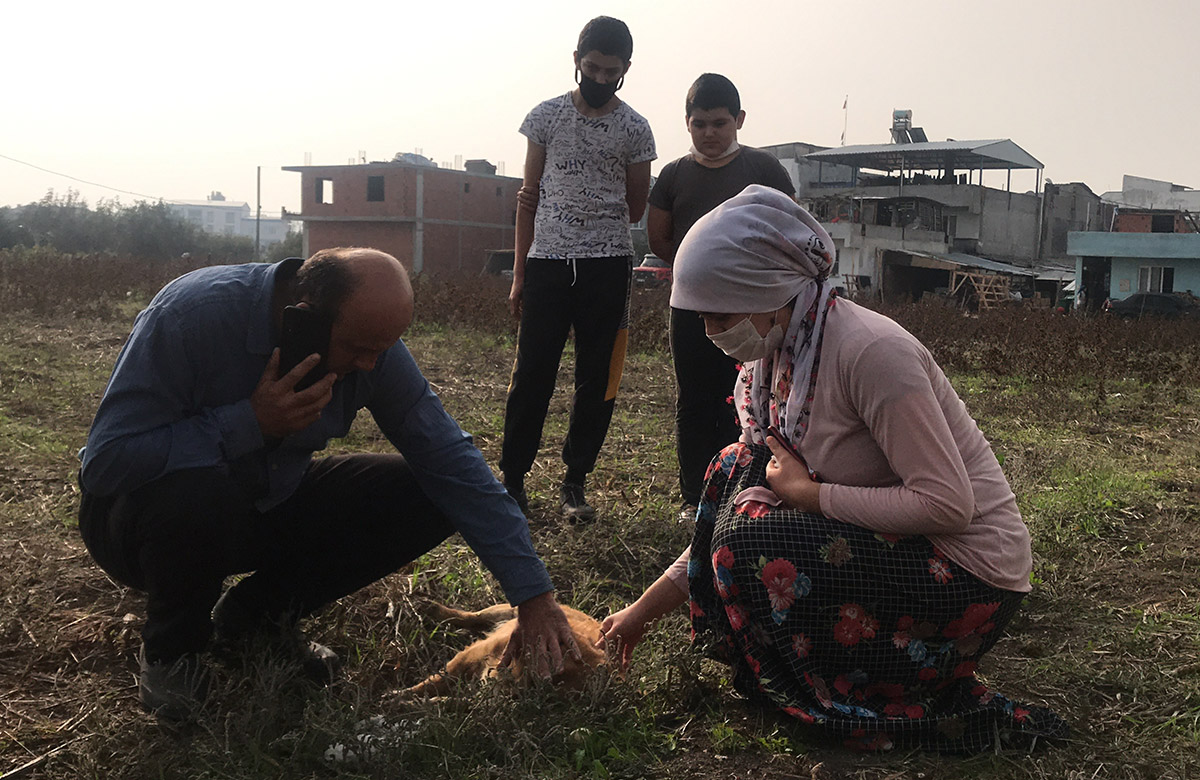 20201027-2-45039918-59222759