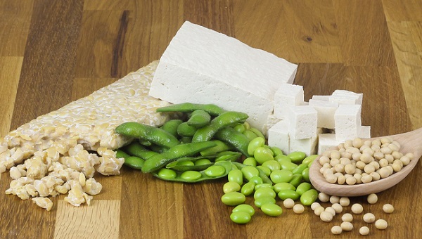 vegan-tarzi-beslenmek-002