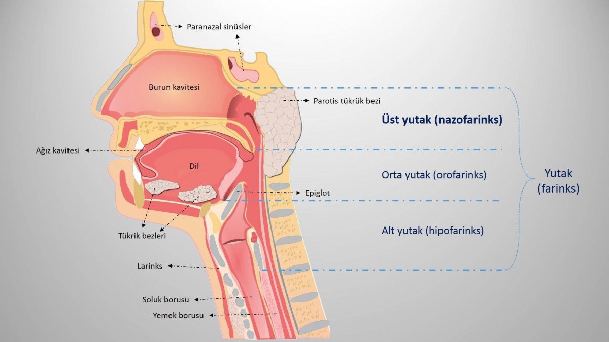 ust-yutak-nazofarenks-kanseri-nedirr