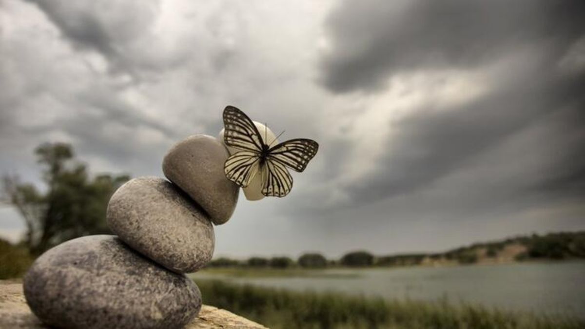 kelebek-etkisi-nedir