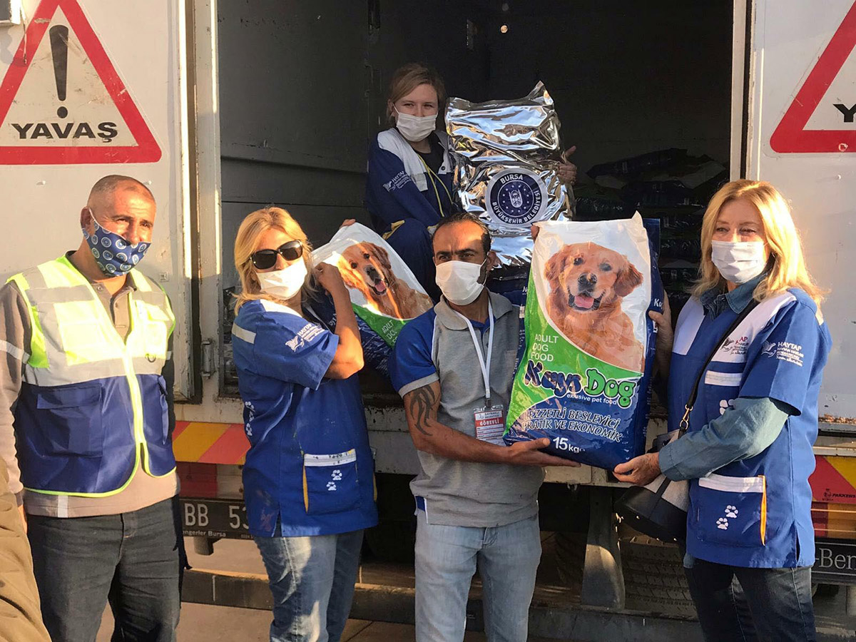 depremzede-kedilere-4-ton-mama-ulastirildi-9670-dhaphoto3