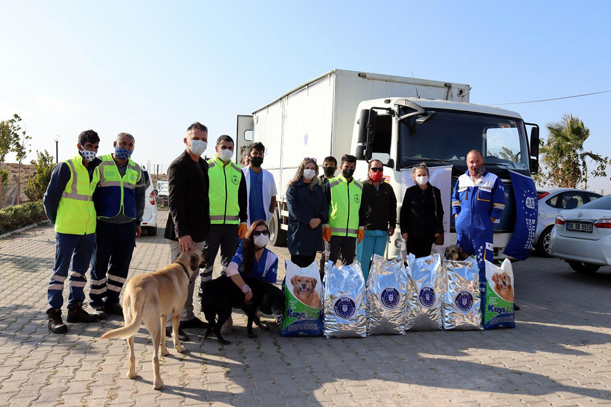 depremzede-kedilere-4-ton-mama-ulastirildi-9670-dhaphoto4