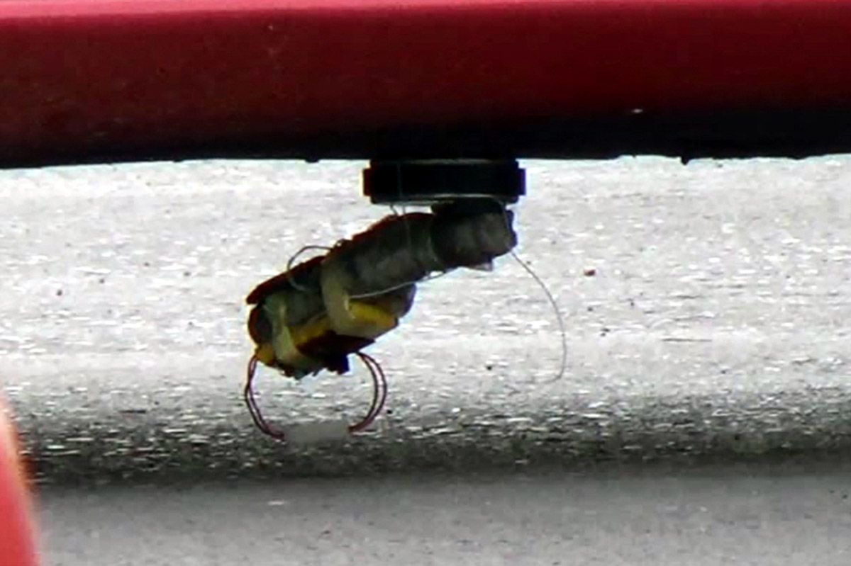 esinin-aracina-bomba-duzenegi-kuran-kocanin-cezasini-yargitay-onadi-9909-dhaphoto3