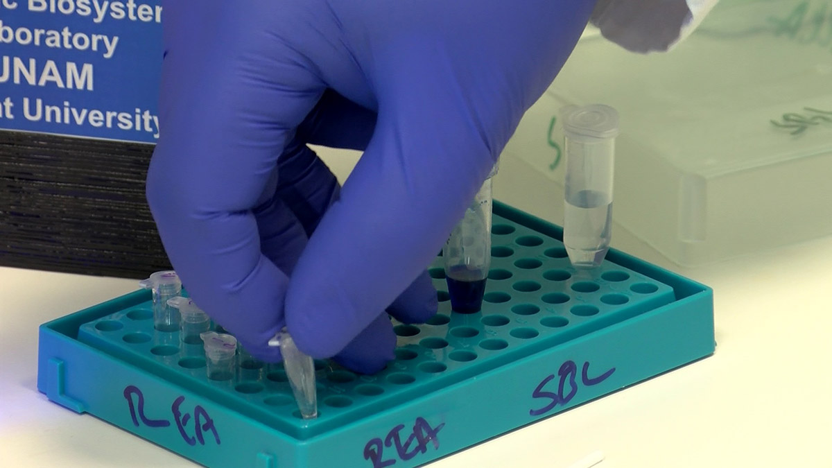 turk-bilim-insanlarindan-koronaviruse-karsi-burun-spreyi-8037-dhaphoto4