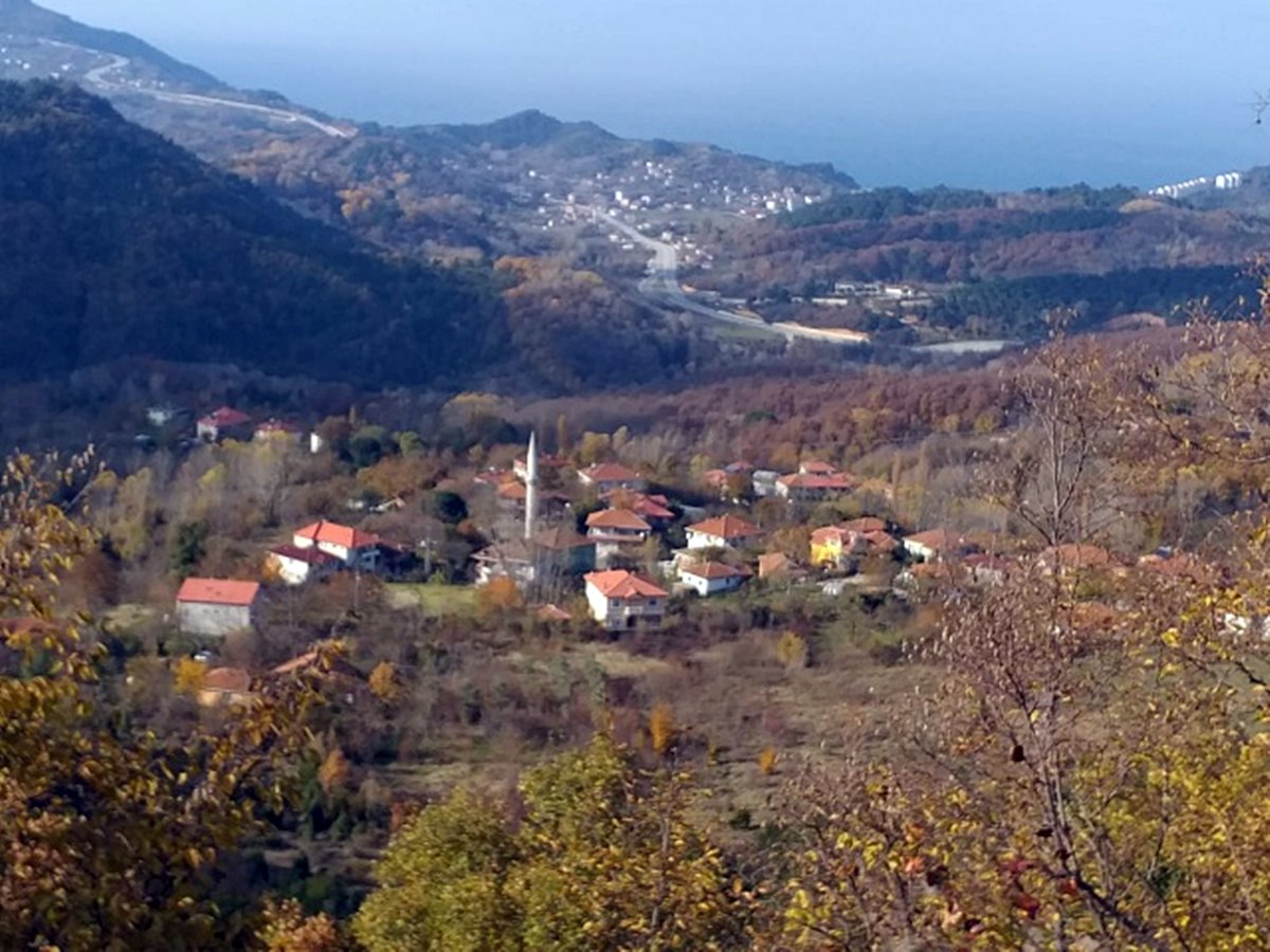 hic-vaka-gorulmeyen-koyde-dogal-urunlere-talep-artti-11607604604