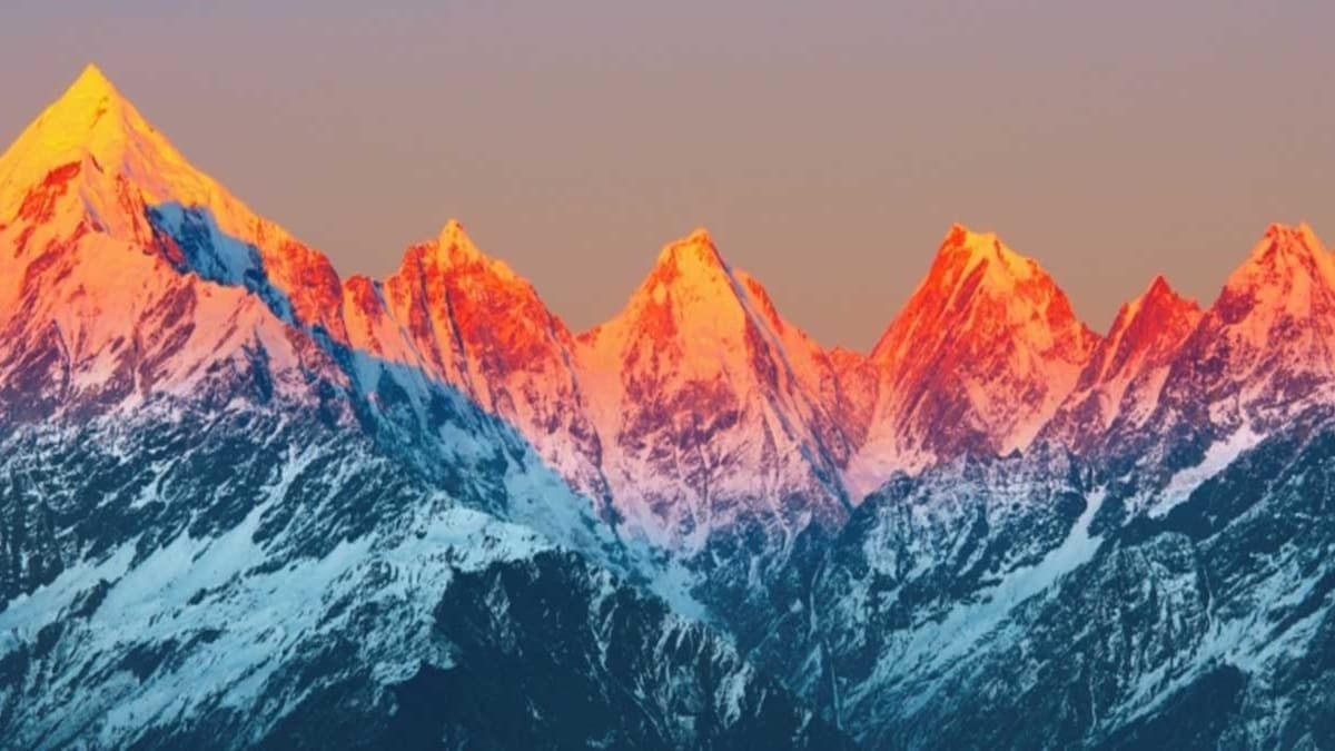 dunya-dag-gunu-nedirr