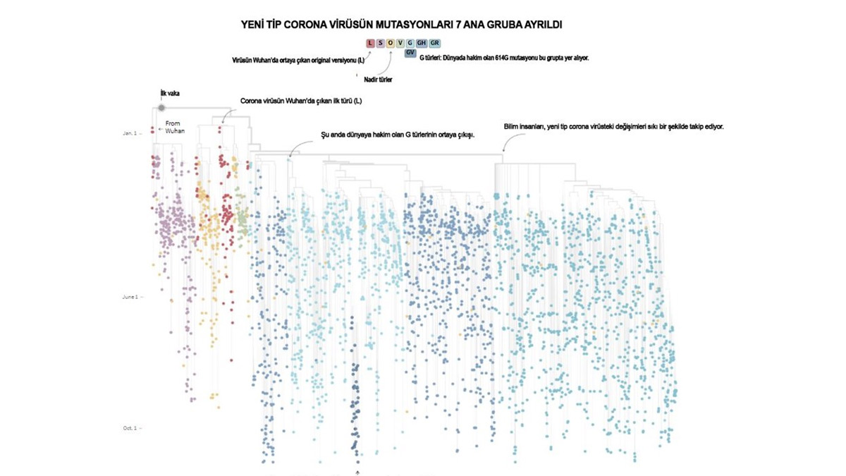 koronavirus-mutasyon