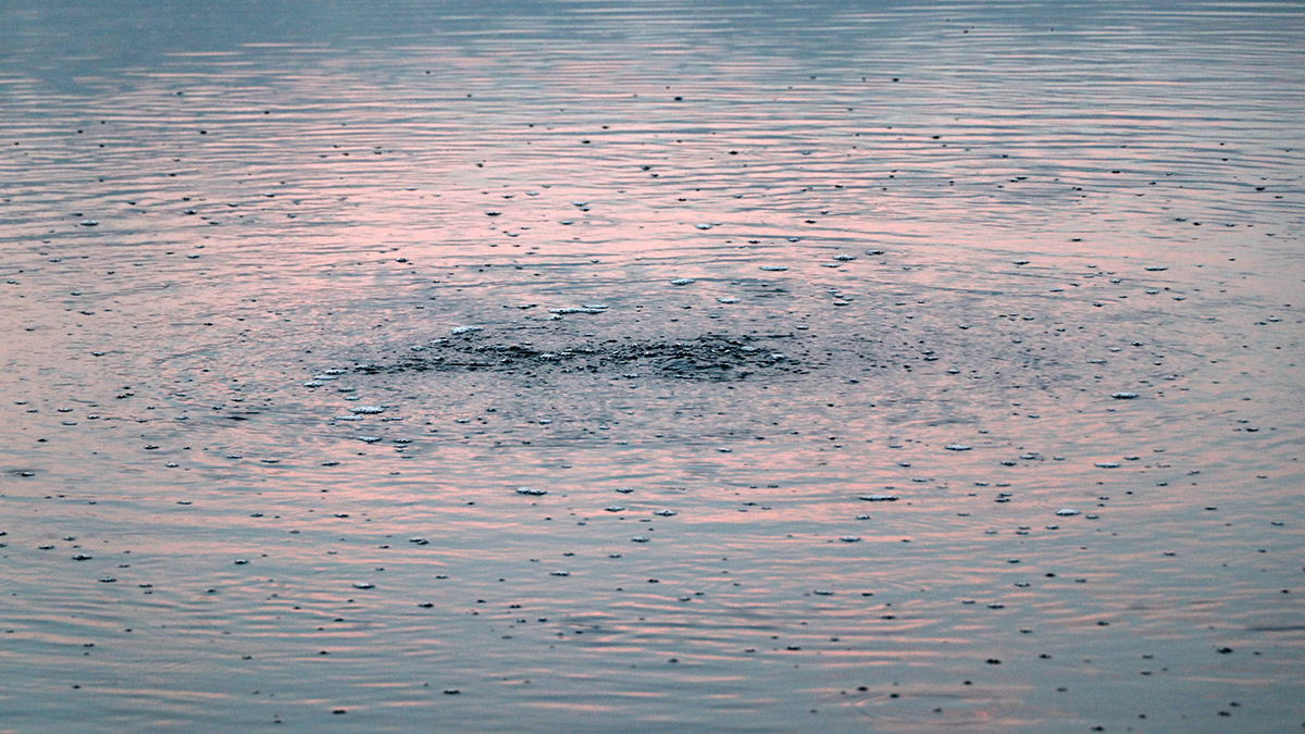 burdur-golundeki-gaz-cikisi-olasi-bir-depremin-habercisi-olabilir-4644-dhaphoto5
