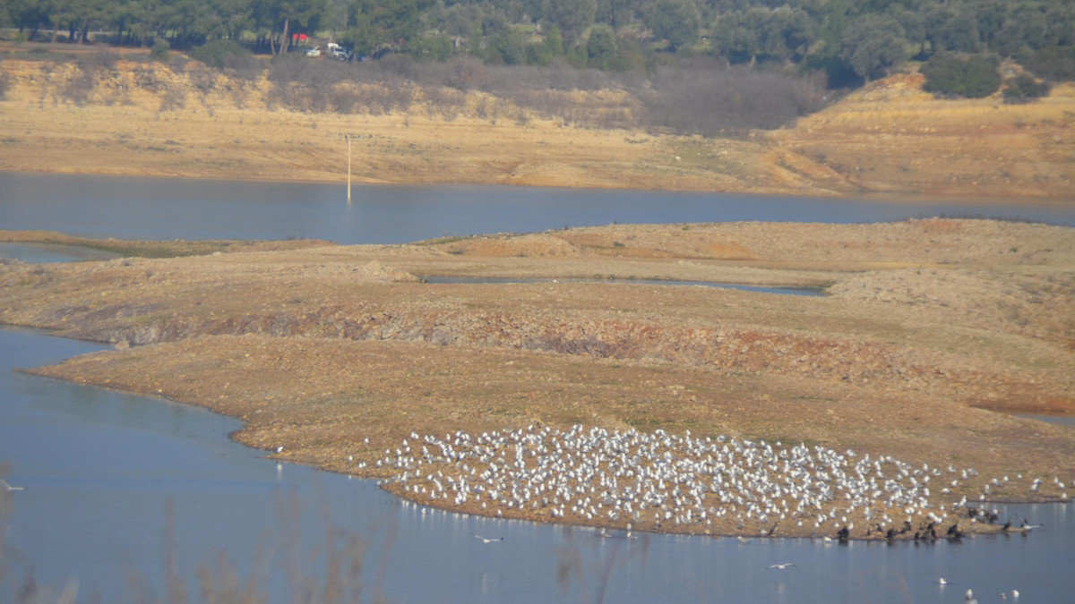 bodrumsusuzkalabilri-jpgw