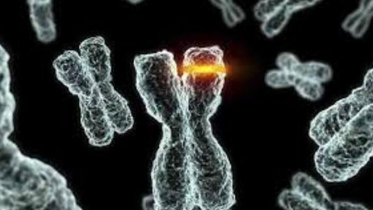 mutasyon-nedir-varyant-nedir-bilim-kurulu-uyesinden-aciklama