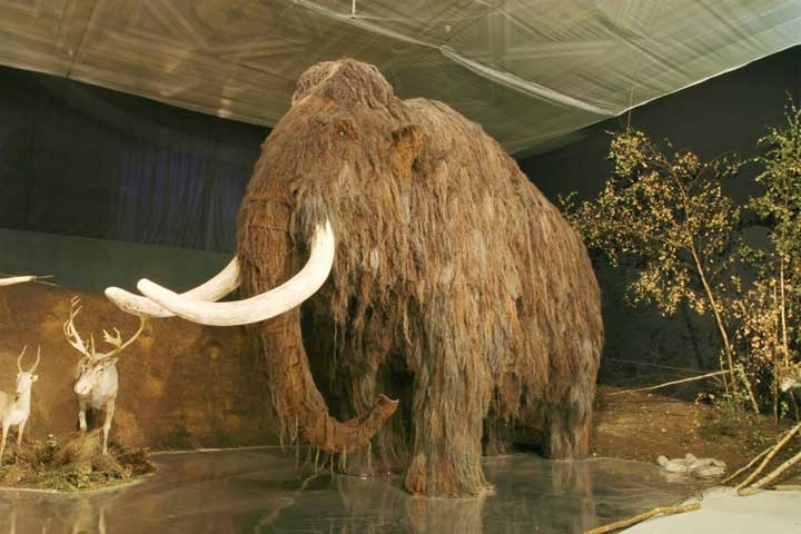 16-60lqvnwj8pbqy6iivuawzcqrhzqji59g5sml6hqq