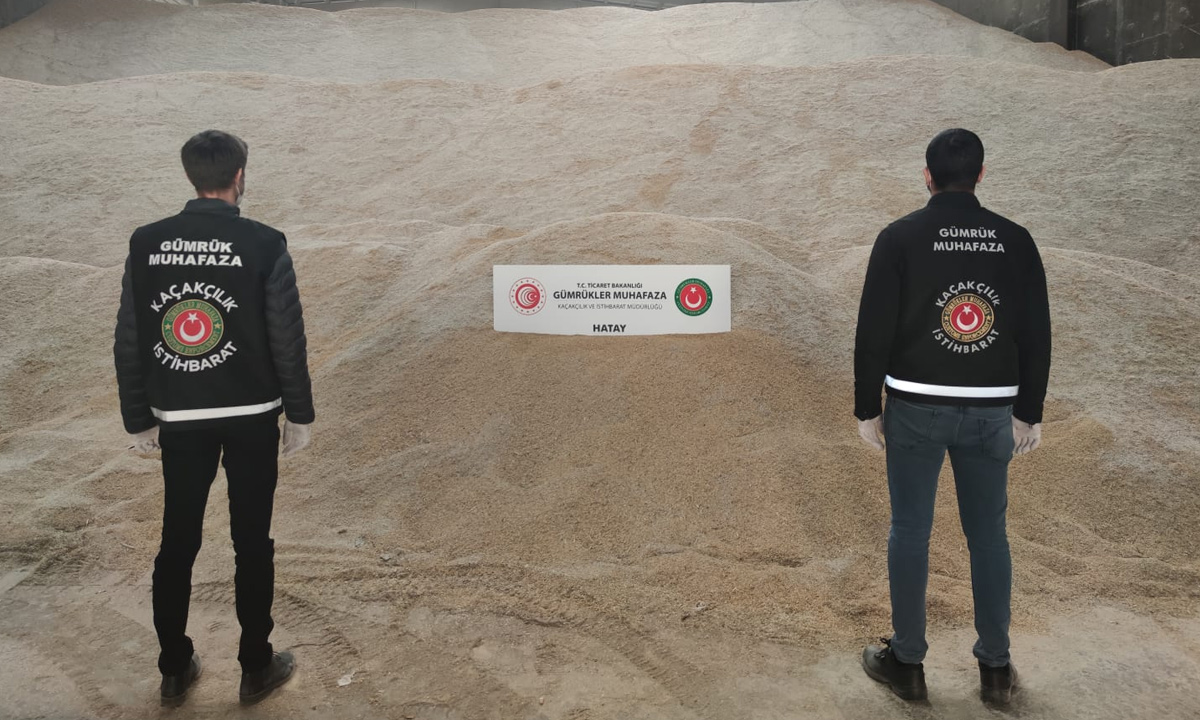 genetigdegistirilmispirinc-jpg2