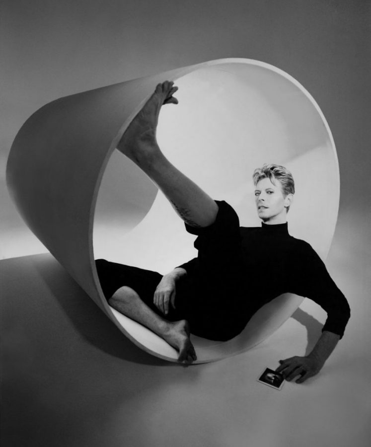 bowie-zebra3-747x900