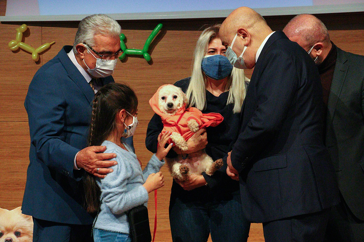 ankarada-ses-telleri-kesilen-20-kopek-kura-ile-sahiplendirildi-2111-dhaphoto4-1