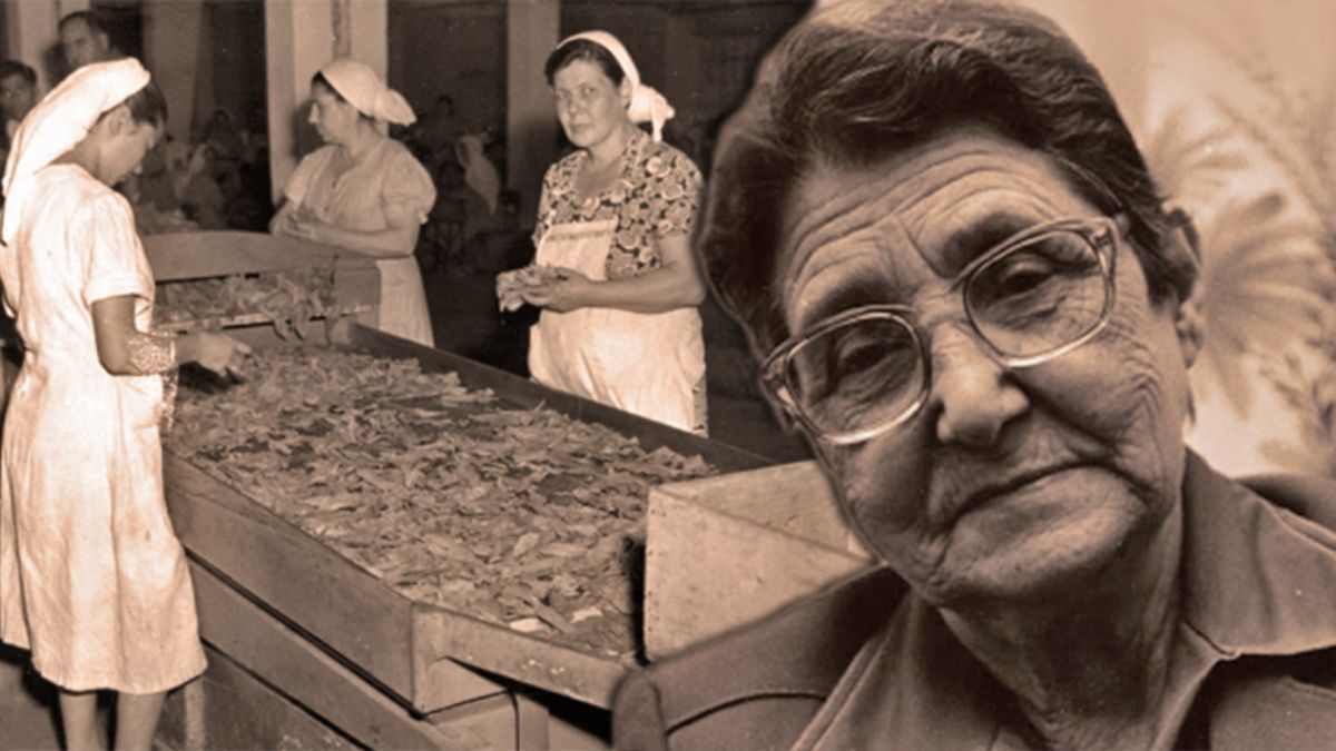 zehra-kosova-kimdirr