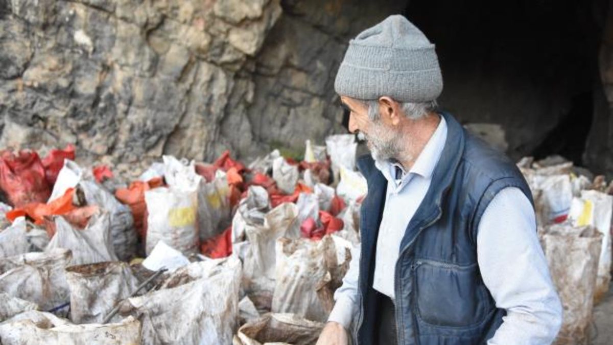 yarasa-gubresi-ne-ise-yarar-iste-fiyati