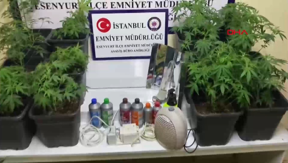 2021-01-24-135318-001