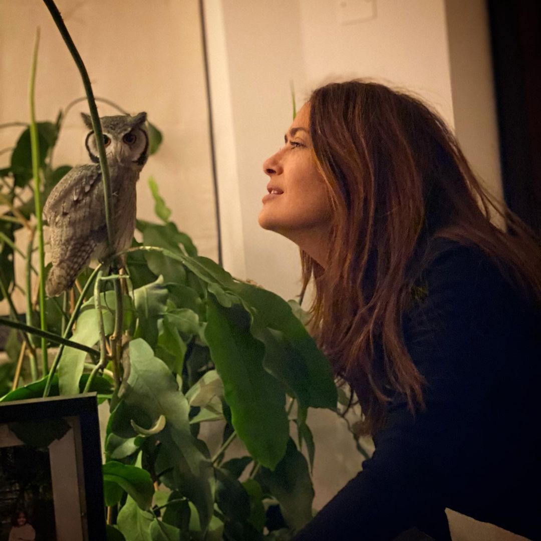 130789328-140209334552735-4248397921910245373-n