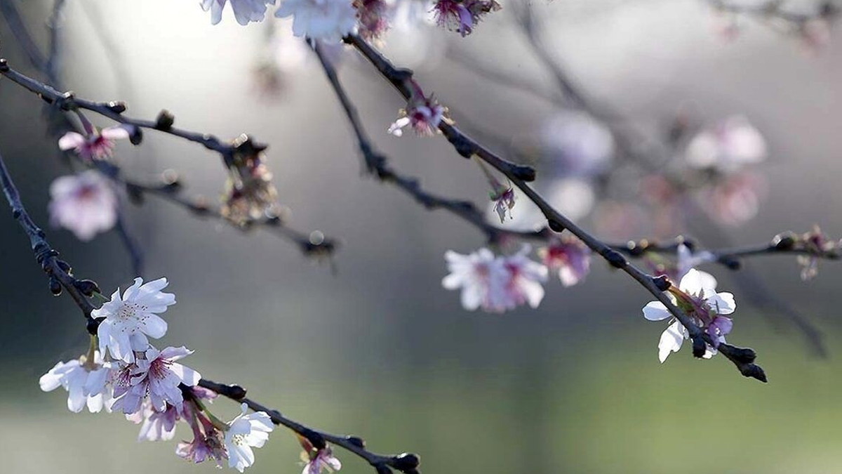 cemre-ne-zman-dusecek